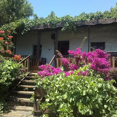 Mehtap Guest house