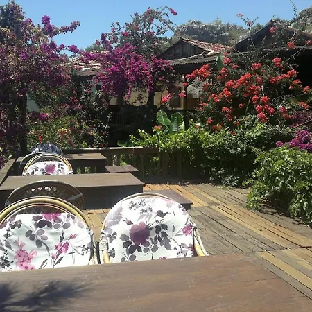 Guest house Mehtap *