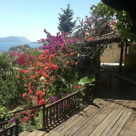 Guest house Mehtap *