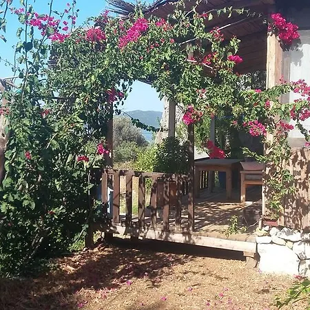 Guest house Mehtap *